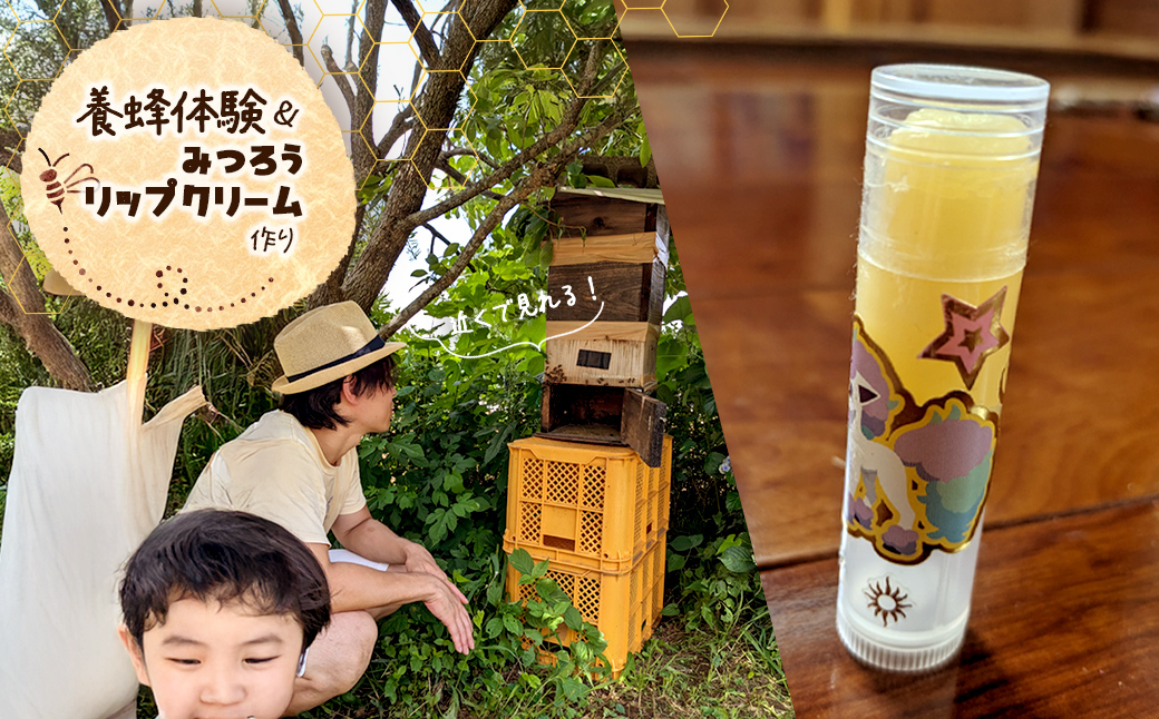 養蜂体験＆みつろうリップクリーム作り ふるさと納税 養蜂 みつろう ミツバチ 蜜蜂 無添加 体験 リップクリーム 千葉県 香取市 送料無料  SOR002