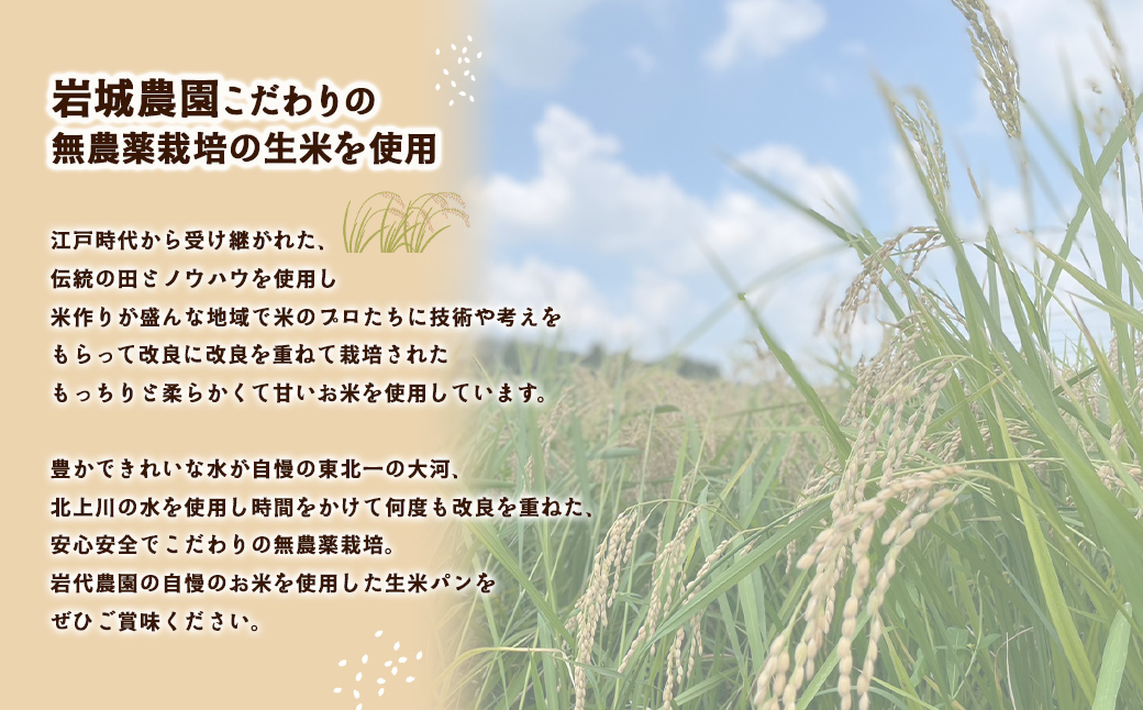 グルテンフリー　生米パン　詰め合わせ3個 ふるさと納税 グルテンフリー パン 米 お米 生米 冷凍 詰め合わせ 千葉県 香取市 送料無料  SOR001