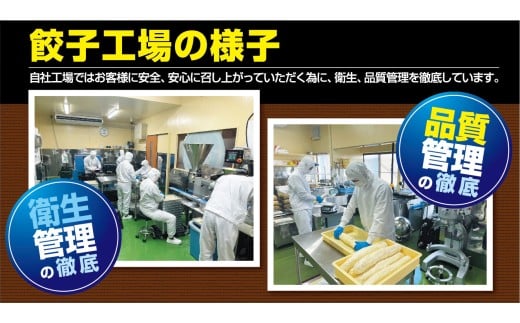 【自家製】小見川名物餃子　25個入×2箱/ 餃子 ぎょうざ 水餃子 水ぎょうざ 鍋 肉 お肉 おつまみ おかず おすすめ 惣菜 お惣菜 食品 加工食品 加工品 / OGS002