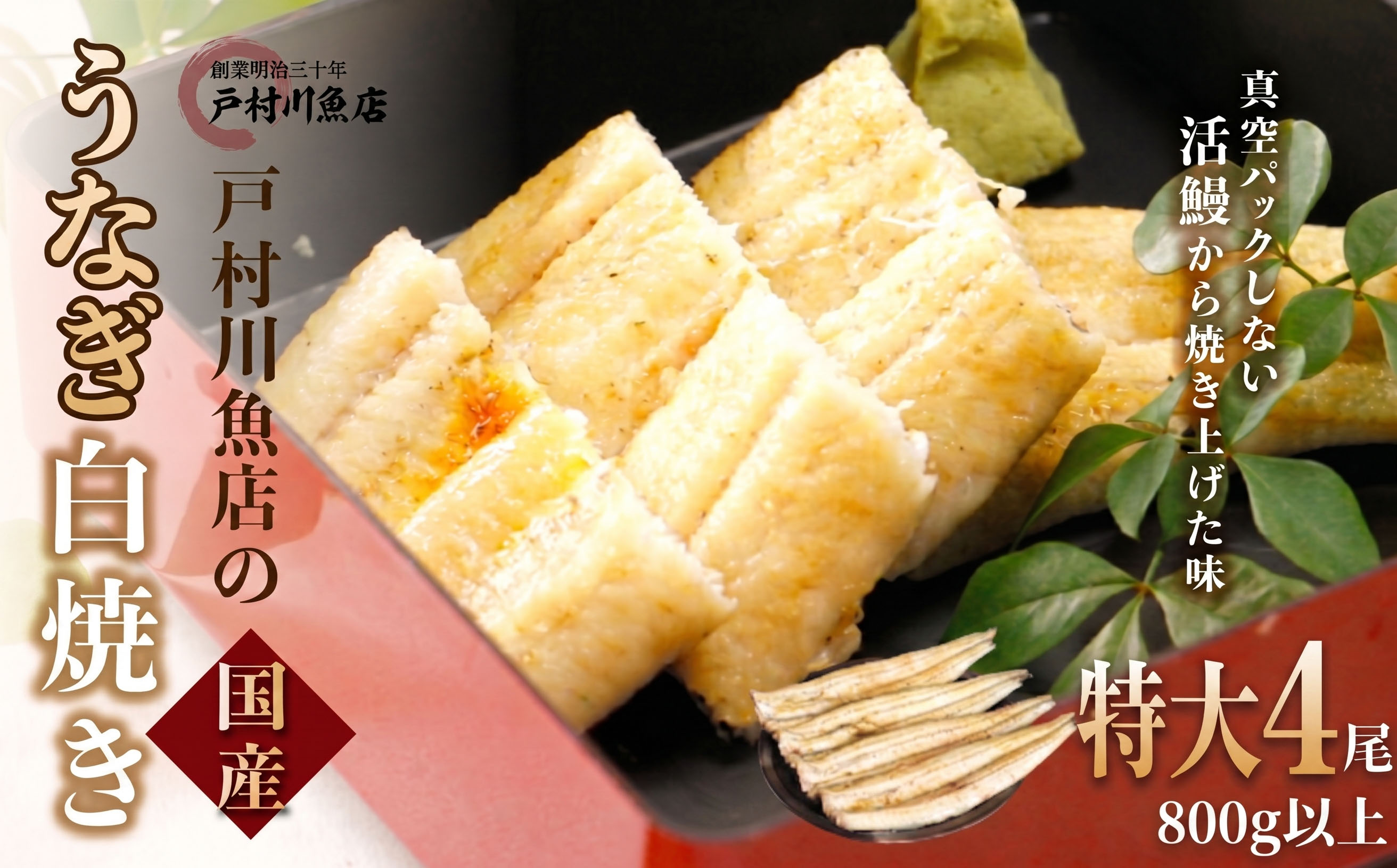戸村川魚店の国産うなぎ 白焼き特大サイズ 4尾 セット /  うなぎ 国産うなぎ 鰻 国産鰻 ウナギ 国産ウナギ 白焼 白焼き TMR004