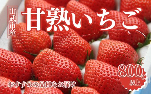 【2月から発送】山武市産 甘熟いちご 800g以上 おすすめの品種をお届け ／ふるさと納税 いちご イチゴ 苺 果物 くだもの フルーツ 旬のくだもの 季節のフルーツ 千葉県 山武市 SMB001