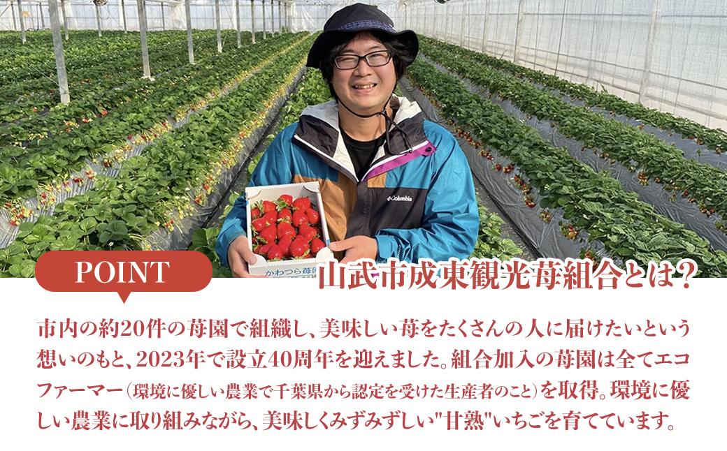 ã2æããçºéãèªå®
ã§ãã¡ãç©ãæ°å! å®çãã¡ã6åçš®é£ã¹æ¯ã¹ã»ãã 800gä»¥äž ïŒãã¡ã ã€ããŽ èº æç© ãã ãã® ãã«ãŒã æ¬ã®ãã ãã® å£ç¯ã®ãã«ãŒã é£ã¹æ¯ã¹ è©°ãåãã ã»ãã åžå°åçš® åèç å±±æŠåž SMB002