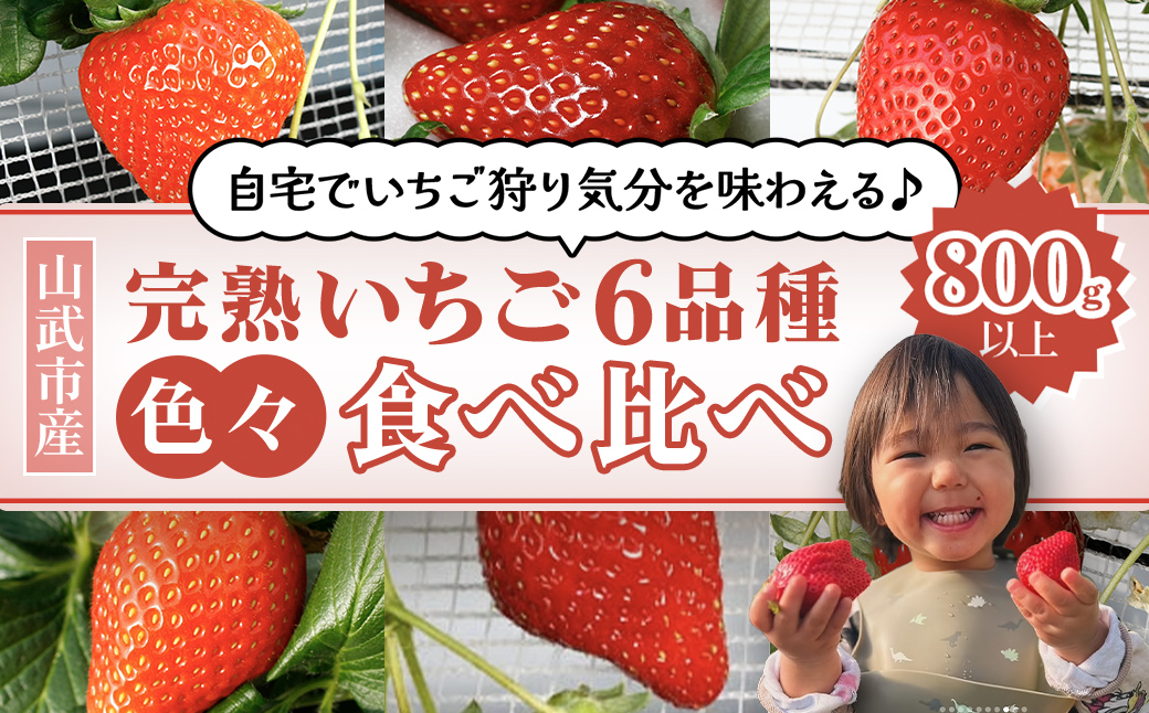 【2月から発送】自宅でいちご狩り気分! 完熟いちご6品種食べ比べセット 800g以上 ／いちご イチゴ 苺 果物 くだもの フルーツ 旬のくだもの 季節のフルーツ 食べ比べ 詰め合わせ セット 希少品種 千葉県 山武市 SMB002