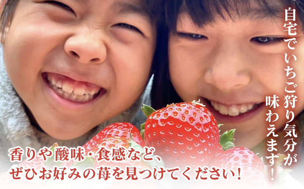 ã2æããçºéãèªå®
ã§ãã¡ãç©ãæ°å! å®çãã¡ã6åçš®é£ã¹æ¯ã¹ã»ãã 800gä»¥äž ïŒãã¡ã ã€ããŽ èº æç© ãã ãã® ãã«ãŒã æ¬ã®ãã ãã® å£ç¯ã®ãã«ãŒã é£ã¹æ¯ã¹ è©°ãåãã ã»ãã åžå°åçš® åèç å±±æŠåž SMB002