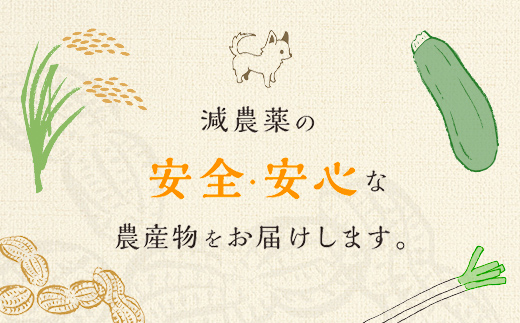 【先行受付・9月中旬より順次発送！】【訳あり】Qナッツ 生落花生 2kg SMAH016