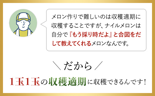 【先行予約/10月中旬発送開始】松村さんちのトマト1箱（20～24個・約4kg）/ トマト とまと 野菜 夏野菜 先行予約 千葉県 山武市 SMAE002