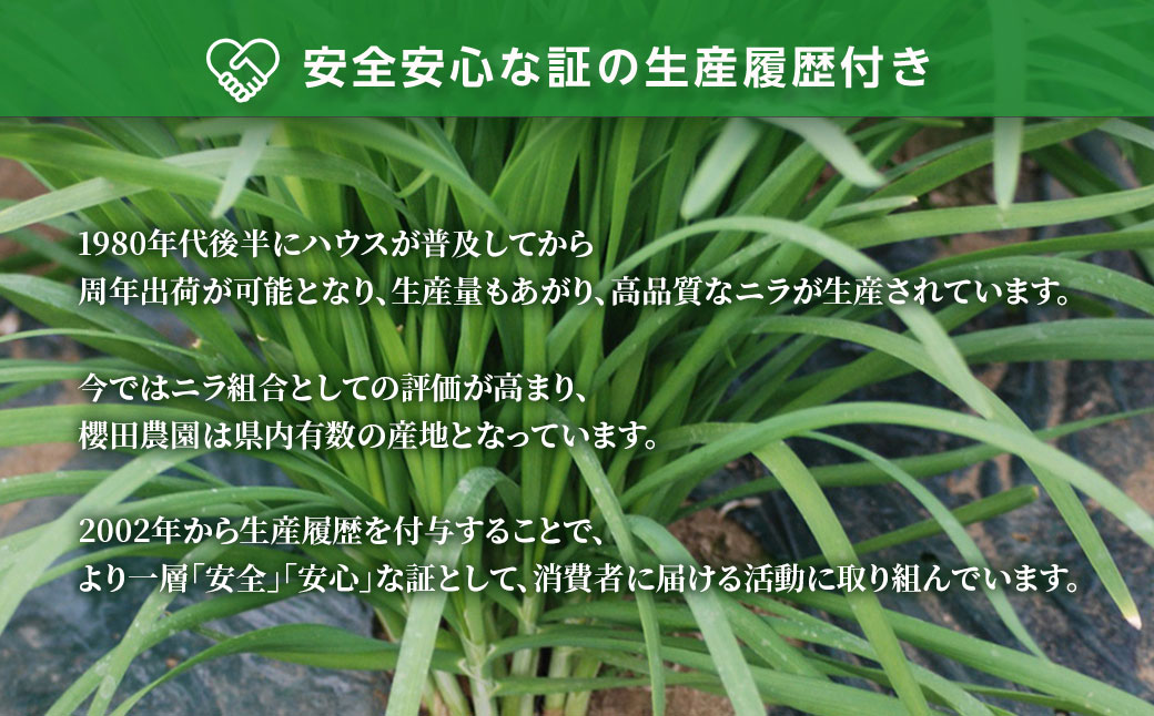 縲仙郁。御コ育エ縲代12譛医°繧臥匱騾√題i蜴壹サ繧キ繝」繧ュ繧キ繝」繧ュ! 譛晄治繧碁ョョ蠎ヲ謚懃セ、! 讚サ逕ー縺輔s螳カ縺ョ繝九Λ 2kg(100gテ10譚淌2繧サ繝繝) SMCS002