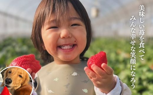 ã2æããçºéãèªå®
ã§ãã¡ãç©ãæ°å! å®çãã¡ã6åçš®é£ã¹æ¯ã¹ã»ãã 800gä»¥äž ïŒãã¡ã ã€ããŽ èº æç© ãã ãã® ãã«ãŒã æ¬ã®ãã ãã® å£ç¯ã®ãã«ãŒã é£ã¹æ¯ã¹ è©°ãåãã ã»ãã åžå°åçš® åèç å±±æŠåž SMB002