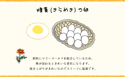 たまごやとよまる 煌黄50個入 ふるさと納税 たまご 卵 玉子 料理 千葉県 山武市 SMAS001