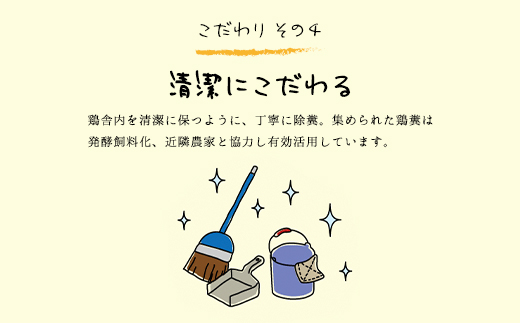 12ヶ月定期便 たまごやとよまる 煌黄20個 たまご 卵 玉子 料理 千葉県 山武市 SMAS006