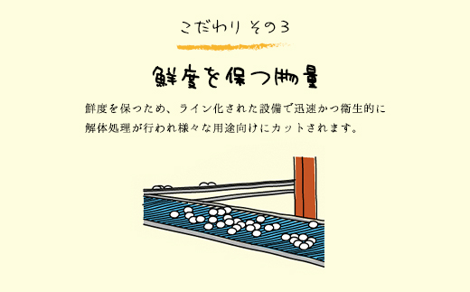 3ヶ月定期便 たまごやとよまる 煌黄30個 たまご 卵 玉子 料理 千葉県 山武市 SMAS007