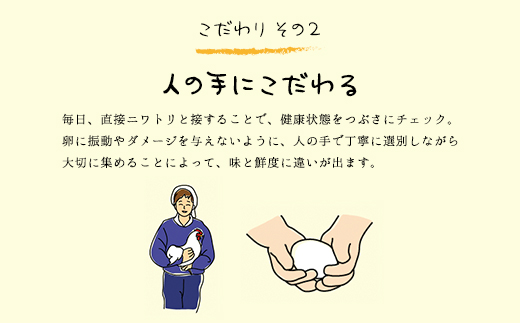 3ヶ月定期便 たまごやとよまる 煌黄30個 たまご 卵 玉子 料理 千葉県 山武市 SMAS007