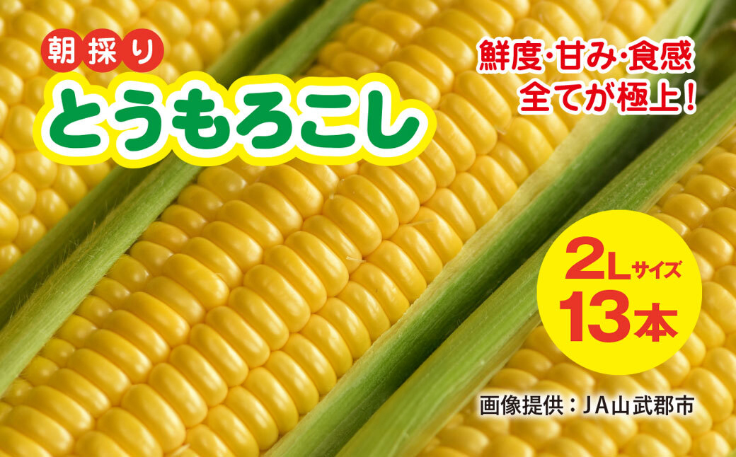 【先行予約】【6月下旬～8月中旬発送】 鮮度・甘み・食感 全てが極上! 農業歴30年以上の農家のこだわりが詰まった 朝採り とうもろこし 2L 13本 約5kg 　SMCF001