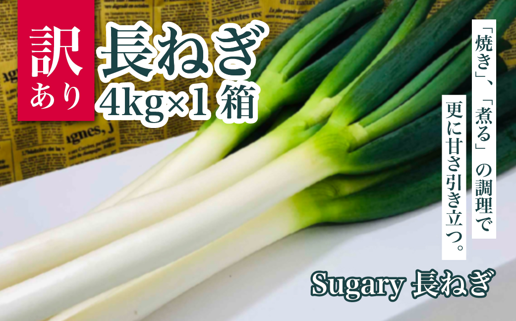Sugary長ねぎ(訳あり品)4kg×1箱  SMY006