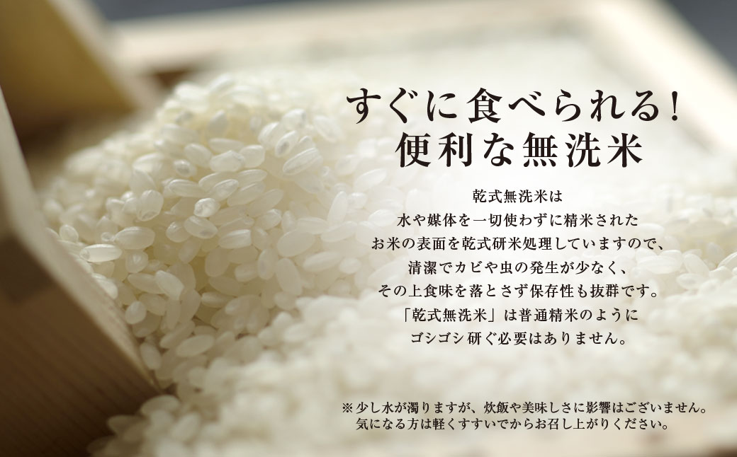 ＜令和7年産＞房の黄金米「コシヒカリ」10kg【ふるさと納税 人気 おすすめ ランキング 穀物 米 コシヒカリ 精米 無洗米 千葉県 山武市 送料無料 SMBR003】
