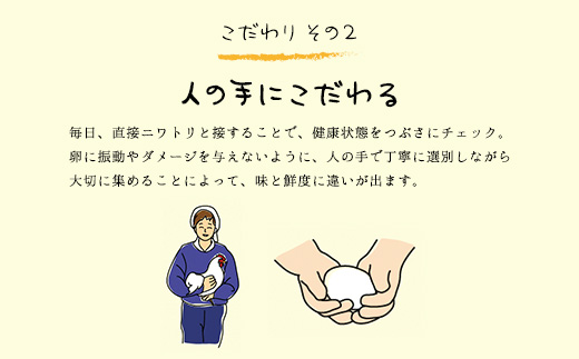 たまごやとよまる 煌黄50個入 ふるさと納税 たまご 卵 玉子 料理 千葉県 山武市 SMAS001