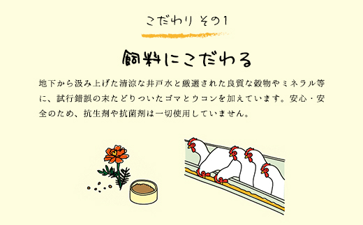 12ヶ月定期便 たまごやとよまる 煌黄20個 たまご 卵 玉子 料理 千葉県 山武市 SMAS006