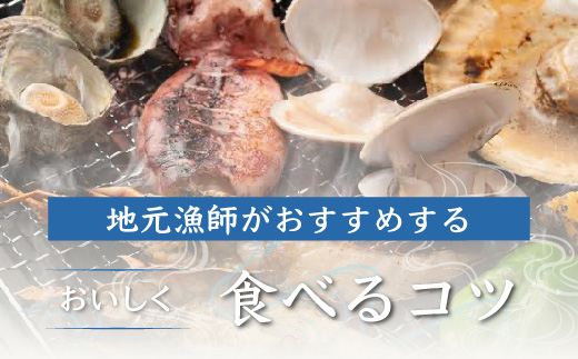 九十九里浜産活天然はまぐりサイズお任せ3kg入り SMBB002