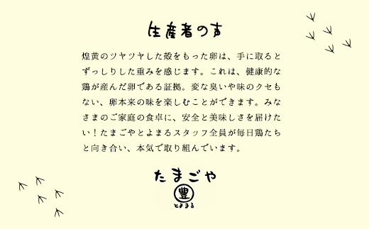 3ヶ月定期便 たまごやとよまる 煌黄20個 たまご 卵 玉子 料理 千葉県 山武市 SMAS004