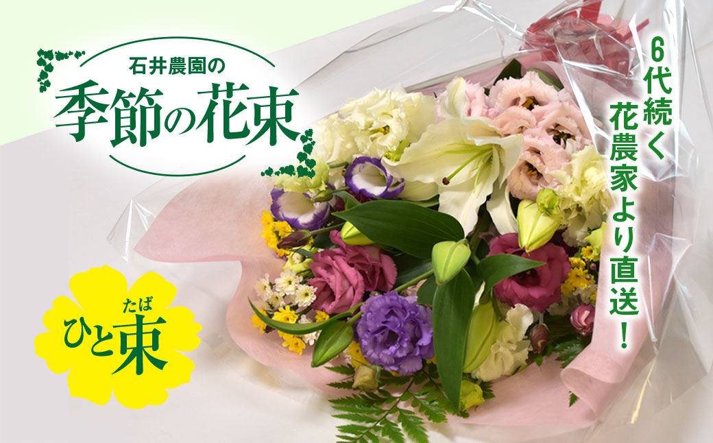 6代続く花農家より直送! 石井農園の「季節の花束」 SMCM001 / ふるさと納税 花 花束 季節 旬 お祝い フラワー ギフト 母の日 誕生日 記念日 千葉県 山武市