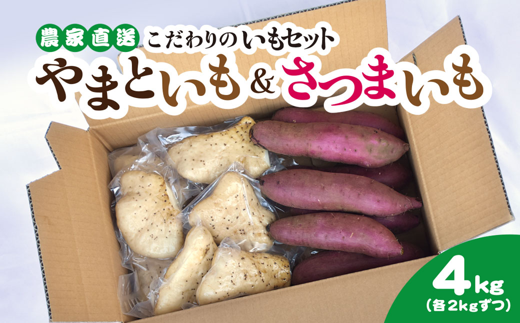 【先行予約】【11月中旬より発送】農家直送! 直売所でも大人気! こだわりのいもセット4kg 大和芋2kg＋さつまいも2kg SMCH002