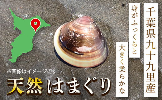 天然はまぐり 1kg 九十九里産 加熱調理した新鮮はまぐりを真空冷凍！ / ふるさと納税 蛤 はまぐり ハマグリ 海鮮 冷凍 千葉県 山武市 SMAJ016