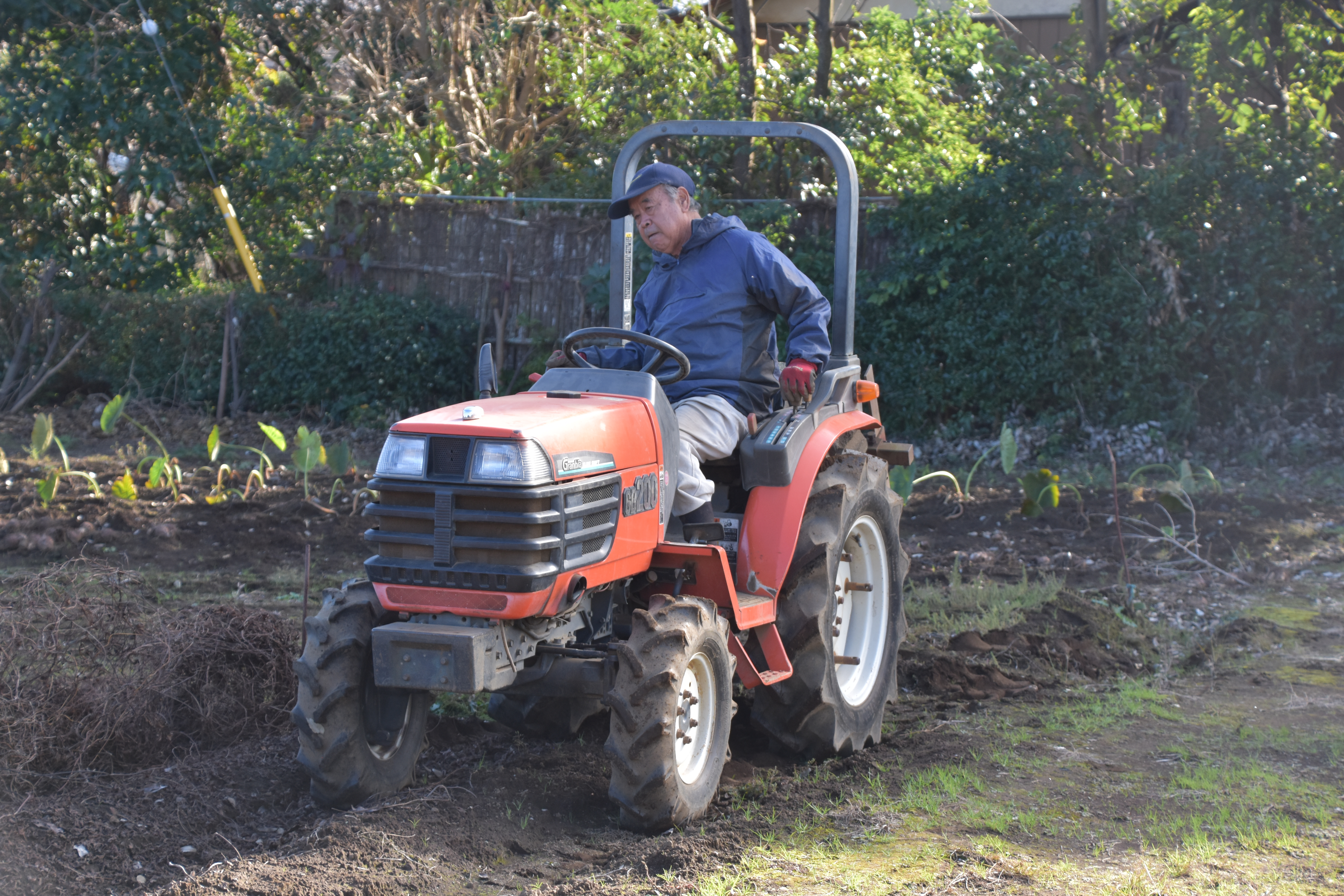 農家直送! 直売所でも大人気! 豊かな風味と強い粘り気が特徴! 大和芋（やまといも）2kg 真空パック包装　SMCH001