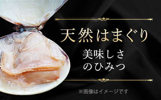 天然はまぐり 1kg 九十九里産 新鮮なまま真空冷凍500g＋加熱調理のうえ真空冷凍500g / ふるさと納税 蛤 はまぐり ハマグリ 海鮮 冷凍 千葉県 山武市 SMAJ017