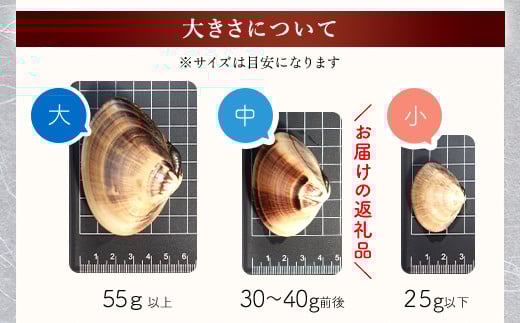 【千葉県ブランド認定】天然大粒活はまぐり（中玉）《1.5kg》／ふるさと納税 はまぐり ハマグリ 蛤 貝類 魚介 海鮮 お吸い物 パスタ パエリア お歳暮 贈答 お祝い 千葉県 山武市 SMBO002