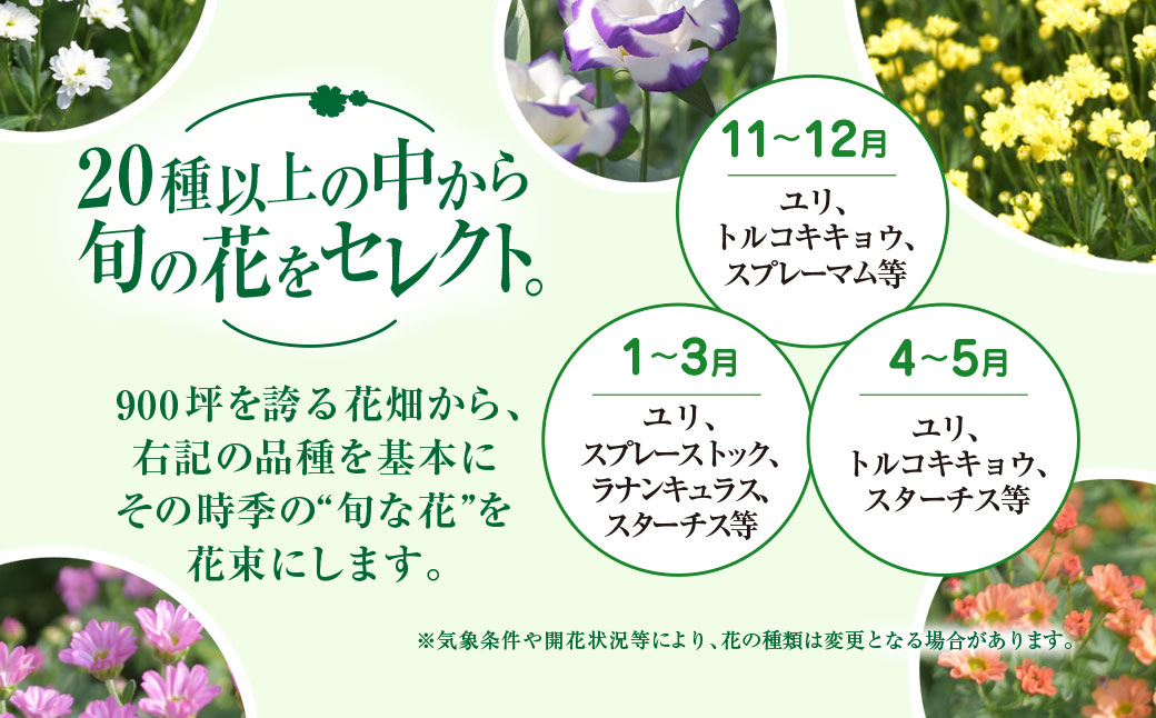 6代続く花農家より直送! 石井農園の「季節の花束」 SMCM001 / ふるさと納税 花 花束 季節 旬 お祝い フラワー ギフト 母の日 誕生日 記念日 千葉県 山武市