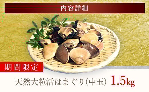 【千葉県ブランド認定】天然大粒活はまぐり（中玉）《1.5kg》／ふるさと納税 はまぐり ハマグリ 蛤 貝類 魚介 海鮮 お吸い物 パスタ パエリア お歳暮 贈答 お祝い 千葉県 山武市 SMBO002