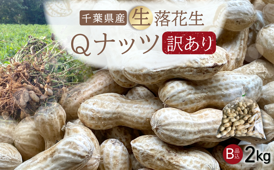 【先行受付・9月上旬より順次発送！】【訳あり】Qナッツ 生落花生 2kg  SMAH016