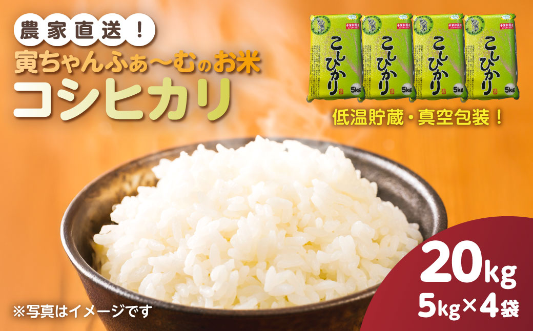 【先行予約2026年10月上旬から発送開始】コシヒカリ　20kg（5kg×4袋）令和8年産 　【 ふるさと納税 人気 おすすめ ランキング 米 精米 白米 お米 こしひかり コシヒカリ 千葉県 山武市 送料無料 】SMBX006