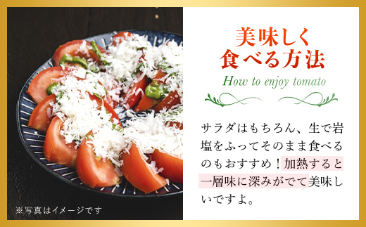 【先行予約/10月中旬発送開始】松村さんちのトマト1箱（20～24個・約4kg）/ トマト とまと 野菜 夏野菜 先行予約 千葉県 山武市 SMAE002