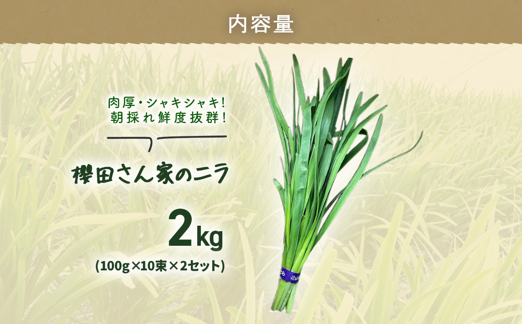 縲仙郁。御コ育エ縲代12譛医°繧臥匱騾√題i蜴壹サ繧キ繝」繧ュ繧キ繝」繧ュ! 譛晄治繧碁ョョ蠎ヲ謚懃セ、! 讚サ逕ー縺輔s螳カ縺ョ繝九Λ 2kg(100gテ10譚淌2繧サ繝繝) SMCS002