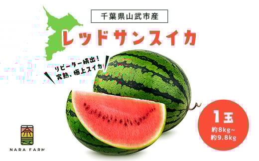 レッドサンスイカ（約8kg～約9.8kg×1玉） SMAF001