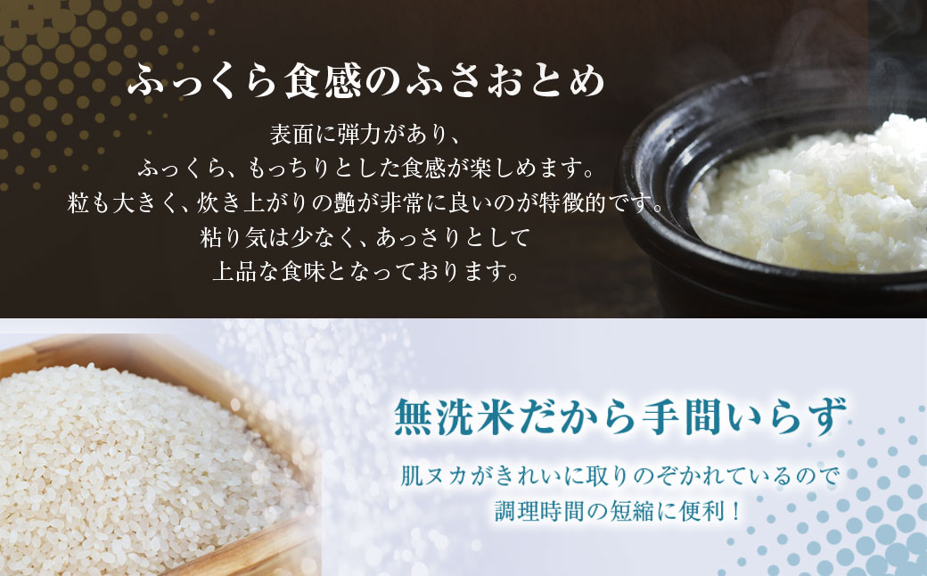 ふるさと納税 人気 おすすめ ランキング 穀物 米 ふさこがね 精米 おいしい 美味しい 甘い 定期便 北海道 豊浦町 送料無料/房の黄金米「ふさこがね」10kg/房の黄金米「ふさこがね」10kg SMBR001