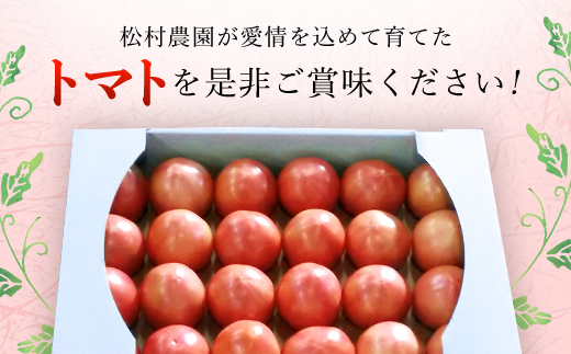 【先行予約/10月中旬発送開始】松村さんちのトマト1箱（20～24個・約4kg）/ トマト とまと 野菜 夏野菜 先行予約 千葉県 山武市 SMAE002