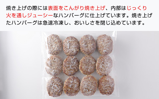 黒毛和牛と国産豚肉のハンバーグステーキ 120g×12個 ふるさと納税 ハンバーグ お肉 ステーキ 豚肉 黒毛和牛千葉県 山武市 SMBI001