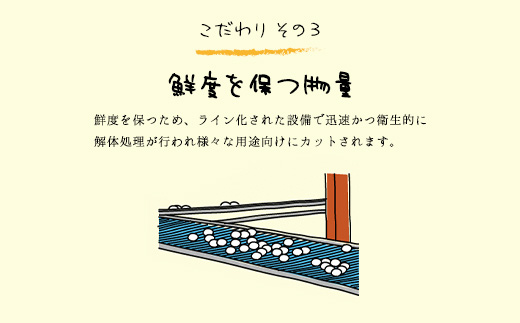 たまごやとよまる 煌黄50個入 ふるさと納税 たまご 卵 玉子 料理 千葉県 山武市 SMAS001