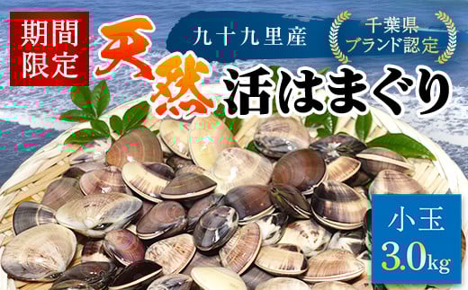 ＜先行受付/2026年5月より配送＞【千葉県ブランド認定】天然活はまぐり（小玉）《3kg》ギフトBOX付き／ふるさと納税 はまぐり ハマグリ 蛤 貝類 魚介 海鮮 お吸い物 パスタ パエリア お歳暮 贈答 お祝い 千葉県 山武市 SMBO004