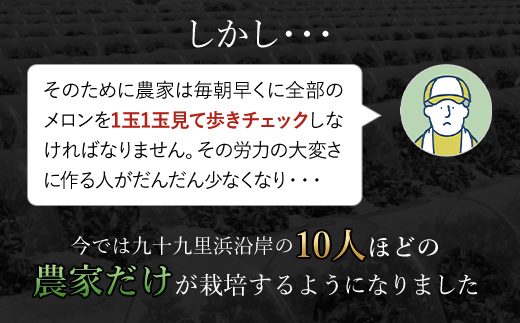 【2025年分先行予約】幻のナイルメロン　全国で10人ほどの農家でしか栽培されていない幻のメロン　約1.5kg×2玉 / メロン ナイルメロン 幻のメロン 甜瓜 青肉 青肉メロン 千葉県 山武市 SMAE001