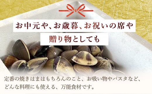 ãåèçãã©ã³ãèªå®ã倩ç¶ç¹å€§æŽ»ã¯ãŸããã1.5kgãïŒãµãããšçŽçš ã¯ãŸãã ããã°ãª è€ è²é¡ éä» æµ·é®® ãåžãç© ãã¹ã¿ ããšãªã¢ ãæ³æ® èŽç ãç¥ã åèç å±±æŠåž SMBO003