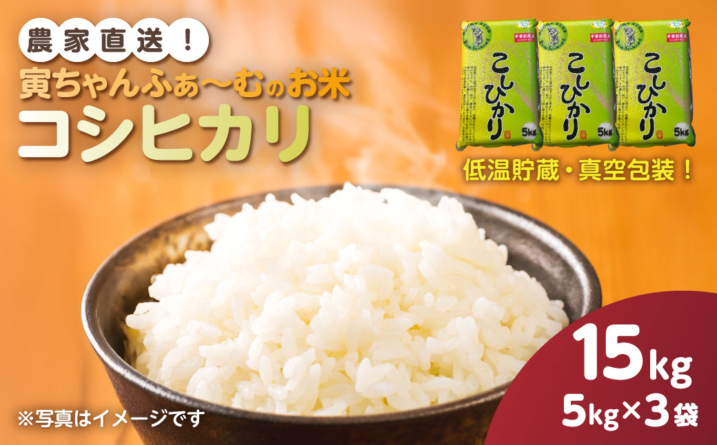 【先行予約2026年10月上旬から発送開始】コシヒカリ　15kg（5kg×3袋）令和8年産 　【 ふるさと納税 人気 おすすめ ランキング 米 精米 白米 お米 こしひかり コシヒカリ 千葉県 山武市 送料無料 】SMBX005
