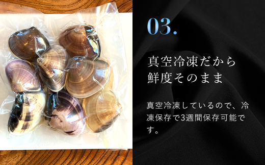 天然はまぐり 1kg 九十九里産 新鮮なまま真空冷凍500g＋加熱調理のうえ真空冷凍500g / ふるさと納税 蛤 はまぐり ハマグリ 海鮮 冷凍 千葉県 山武市 SMAJ017