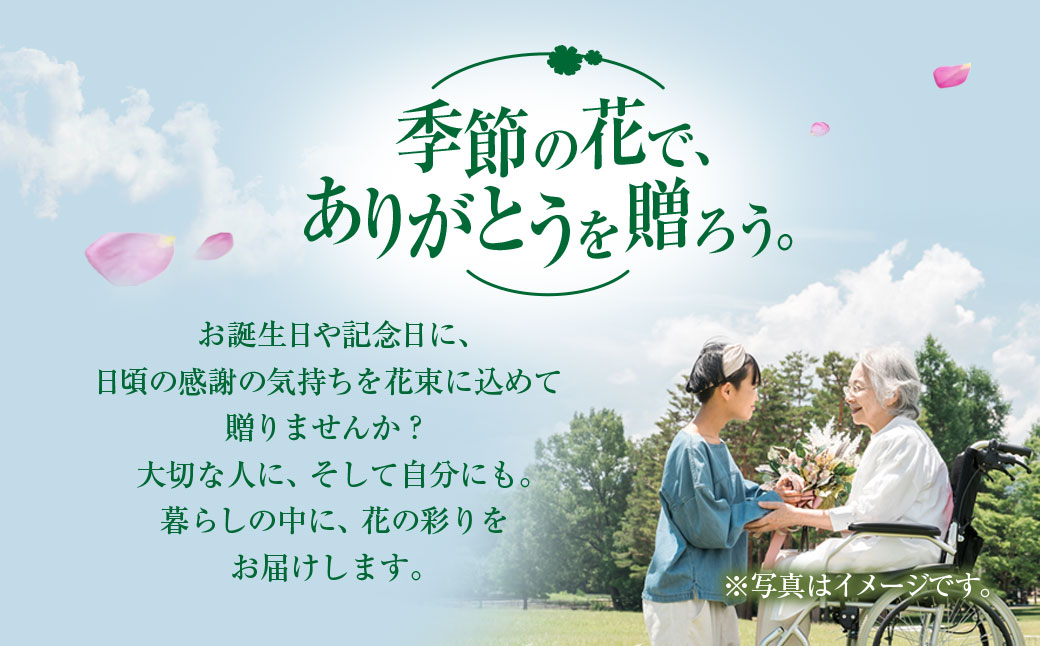 6代続く花農家より直送! 石井農園の「季節の花束」 SMCM001 / ふるさと納税 花 花束 季節 旬 お祝い フラワー ギフト 母の日 誕生日 記念日 千葉県 山武市