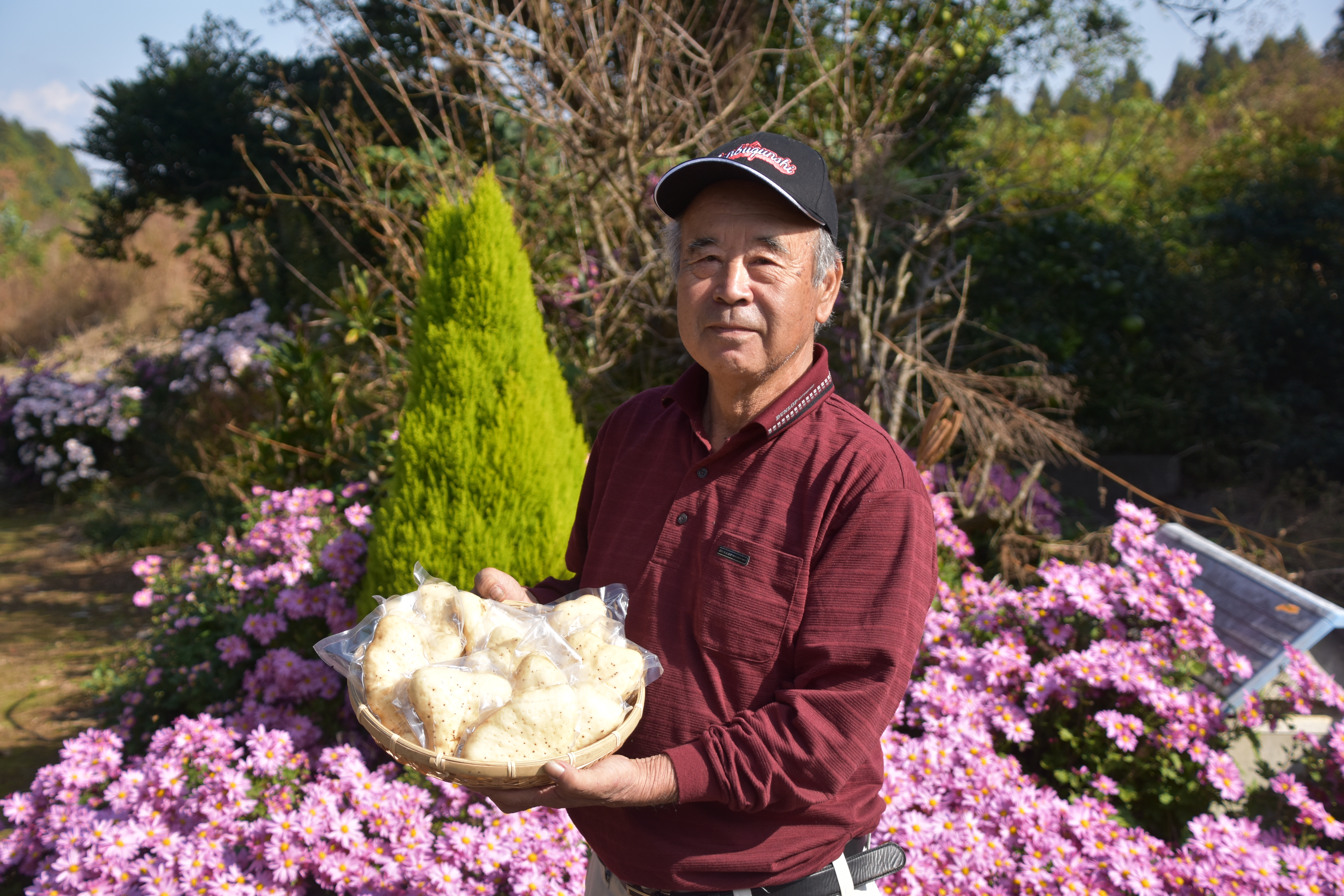 農家直送! 直売所でも大人気! 豊かな風味と強い粘り気が特徴! 大和芋（やまといも）2kg 真空パック包装　SMCH001
