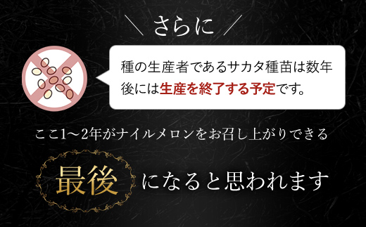 【2025年分先行予約】幻のナイルメロン　全国で10人ほどの農家でしか栽培されていない幻のメロン　約1.5kg×2玉 / メロン ナイルメロン 幻のメロン 甜瓜 青肉 青肉メロン 千葉県 山武市 SMAE001
