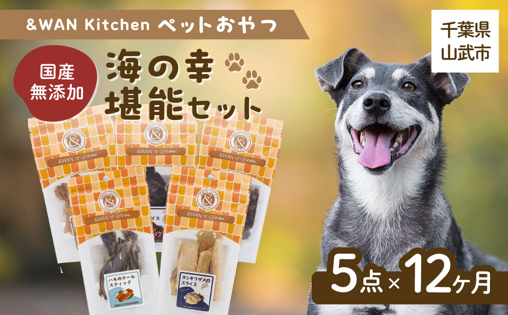 【毎月届く】&WAN Kitchenペットおやつセット（海の幸堪能セット）（サメスライス/鮭まるごとビッツ/まぐろスティック/ハモしっぽ/エイまるごとチップ） SMU024