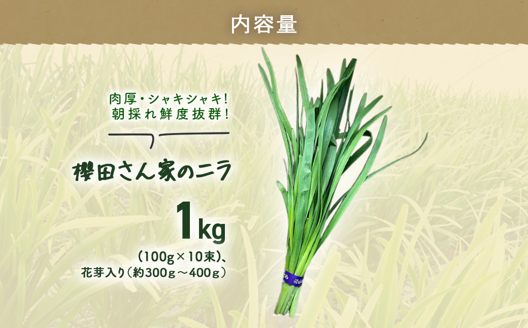 ãå
è¡äºçŽãã2026幎7æããçºéãèåã»ã·ã£ãã·ã£ã! ææ¡ã鮮床æçŸ€! æ«»ç°ããå®¶ã®ãã© 1kg(100gÃ10æ)ãè±èœå
¥ãïŒçŽ300ïœïœ400ïœïŒ SMCS003